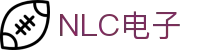 NLC电子数码集团
